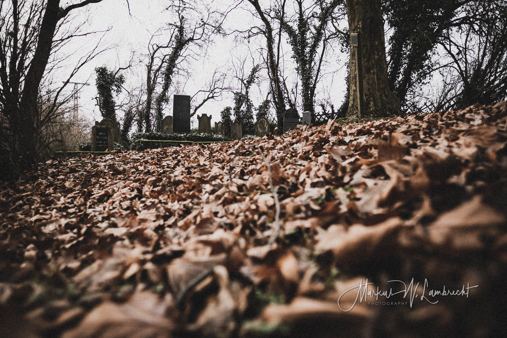 Dassel, Jüdischer Friedhof